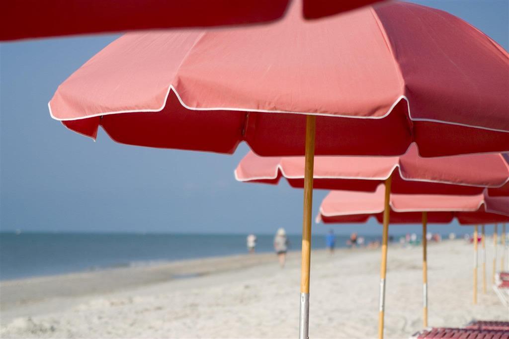 Song Of The Sea Hotel Sanibel Natură foto